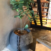 画像1047
