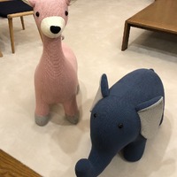 画像1722